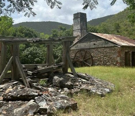 Reef Bay, St. John U.S. Virgin Islands National Park Images